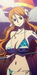 nami in hot bikini